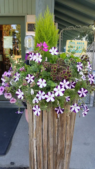 Oasis RV Park & Golf Course Picture 7