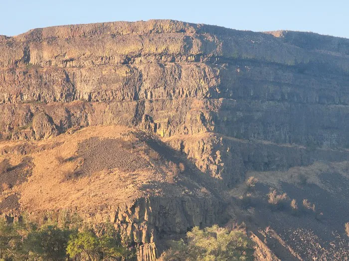 Sun Lakes Park Resort Picture 7