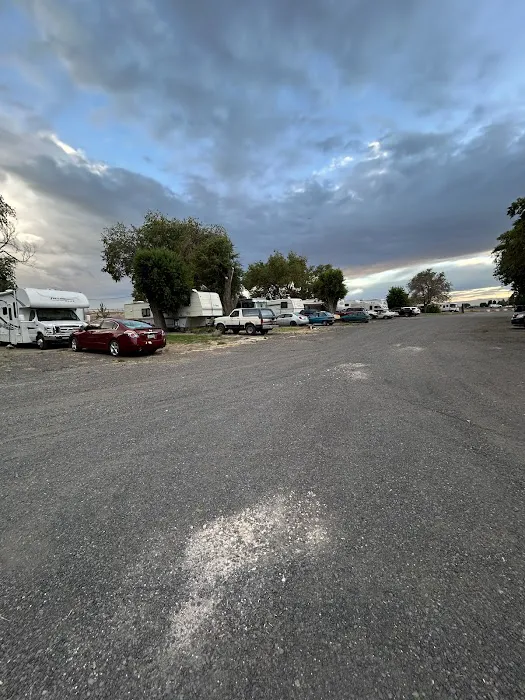 Shady Tree RV Picture 4