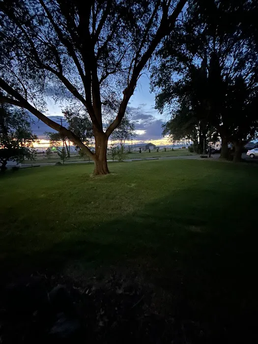 Shady Tree RV Picture 2