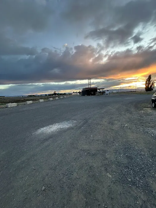 Shady Tree RV Picture 1