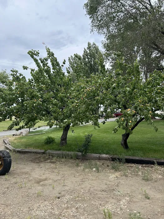 Shady Tree RV Picture 5