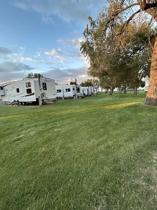 Shady Tree RV Picture 7