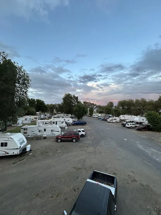 Shady Tree RV Picture 6