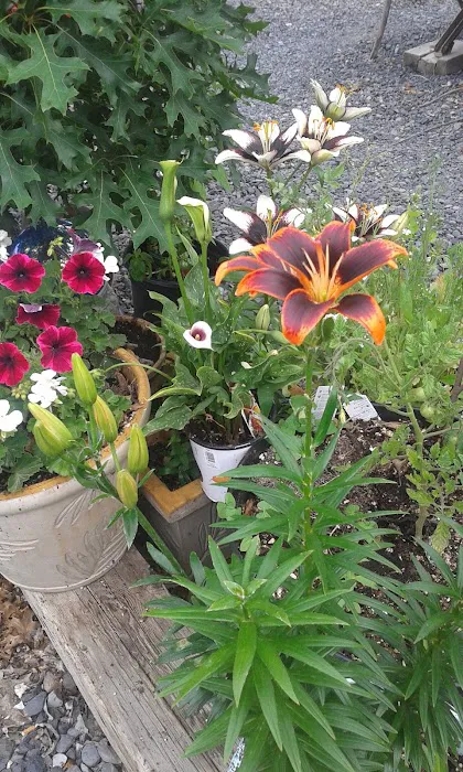 Sunbasin RV Park Picture 5