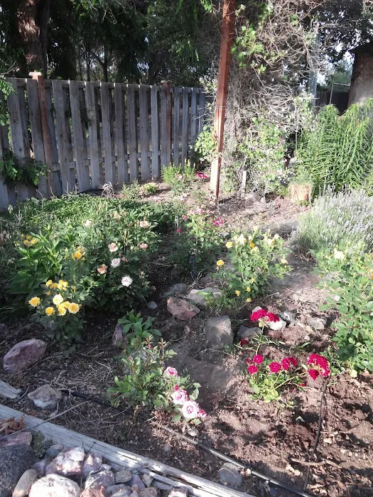 Grove Terrace Mobile Home Crt Picture 2