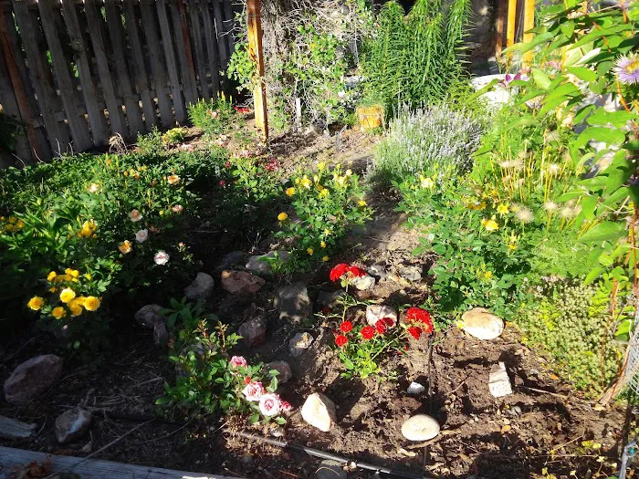 Grove Terrace Mobile Home Crt Picture 1