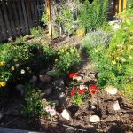 Grove Terrace Mobile Home Crt