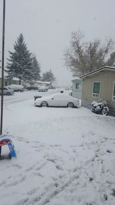 Grove Terrace Mobile Home Crt Picture 5