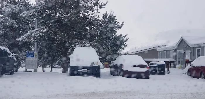 Village Park Picture 1