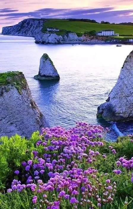 Evergreen Mobile Home Park Picture 1