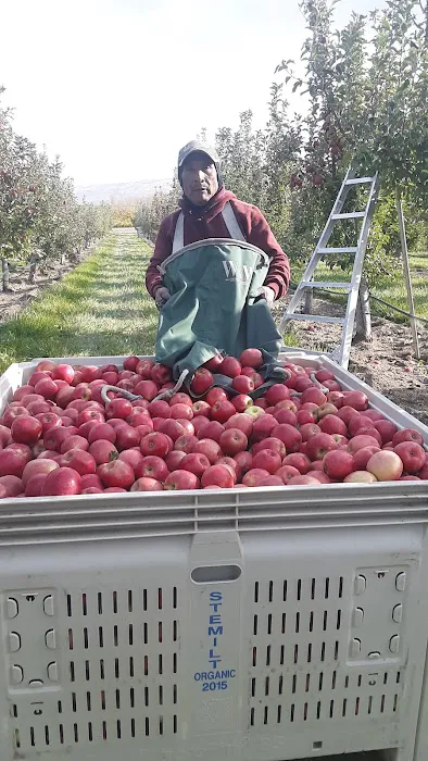 Evergreen Mobile Home Park Picture 5