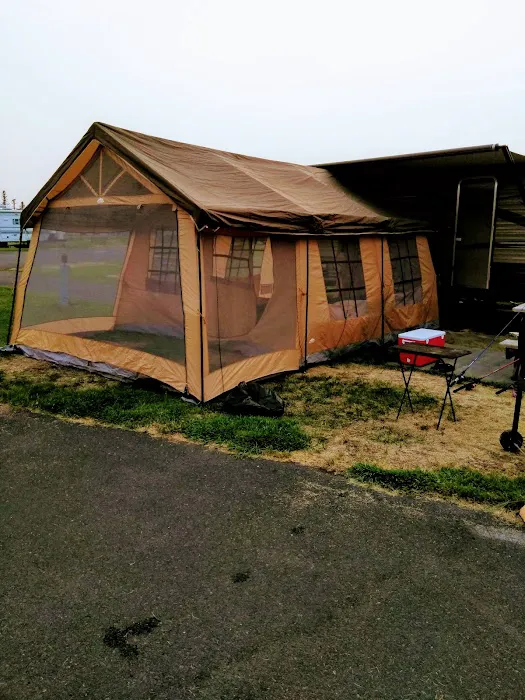 Pier 4 RV Resort Picture 5