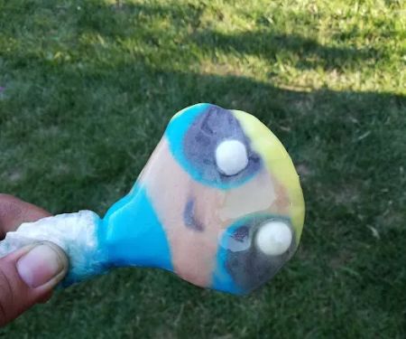 Royal Coachman Mobile Home