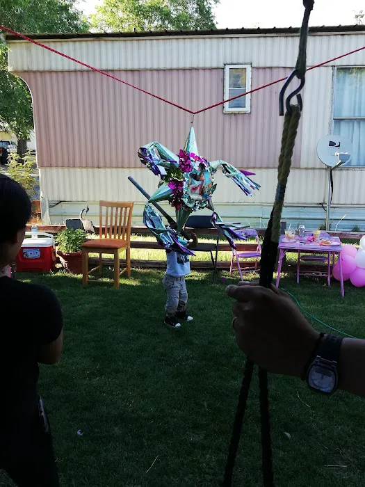 Royal Coachman Mobile Home Picture 7