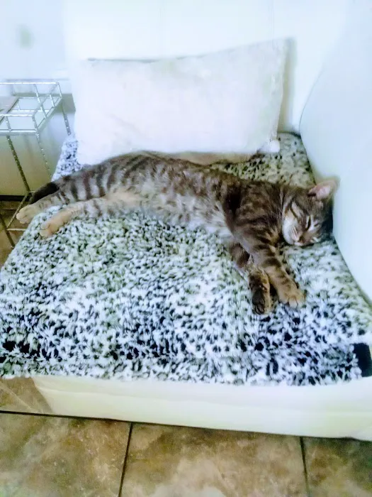 Peninsula Estates Picture 7