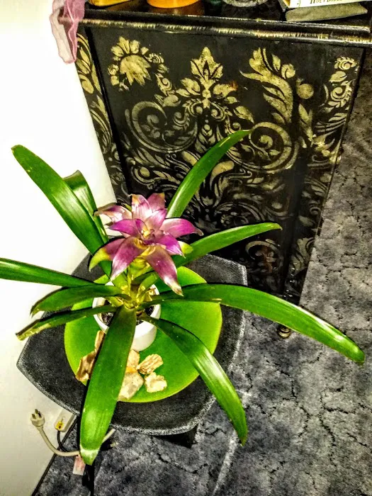 Peninsula Estates Picture 9