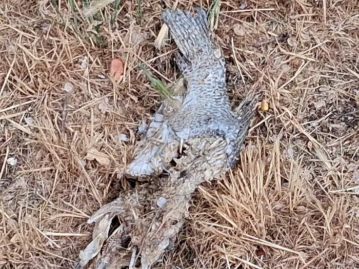 Lakefront RV Park Picture 3