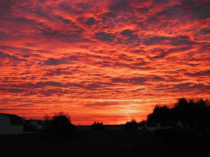 Sun Desert RV Park Picture 9