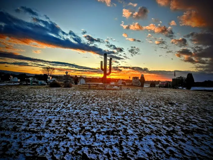 Sun Desert RV Park Picture 10