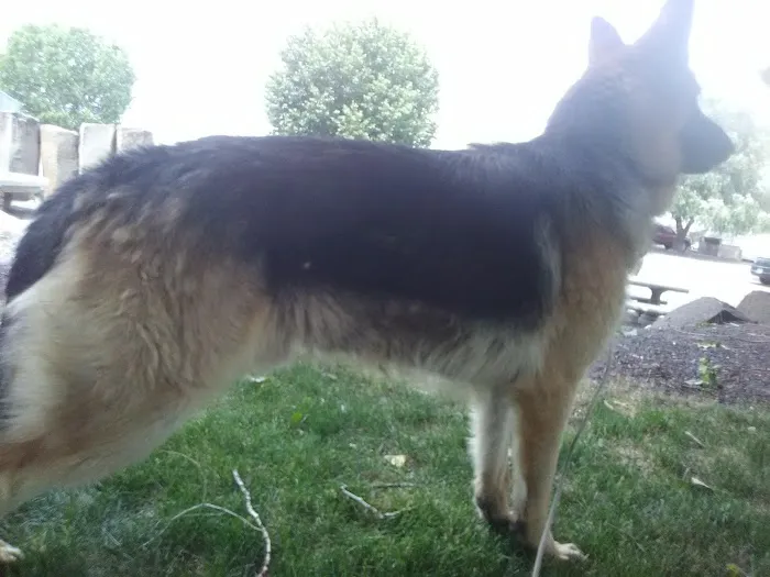 Cougar Campers RV Park Picture 10