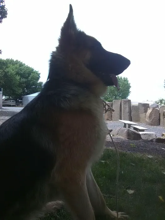 Cougar Campers RV Park Picture 9