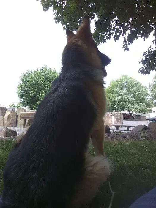 Cougar Campers RV Park Picture 8