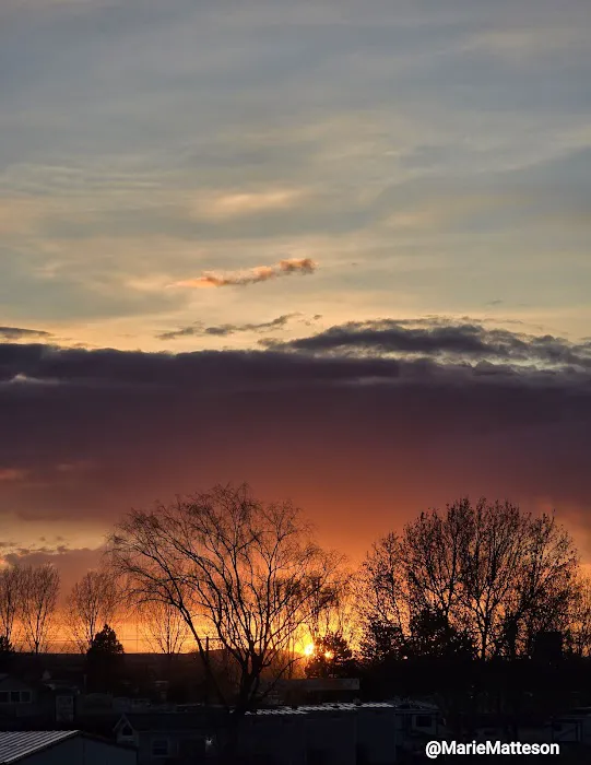 The Last Resort RV Park Picture 5