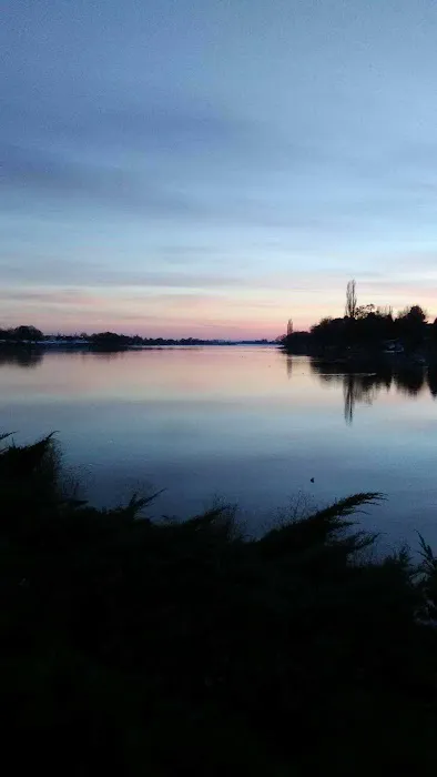 The Last Resort RV Park Picture 8