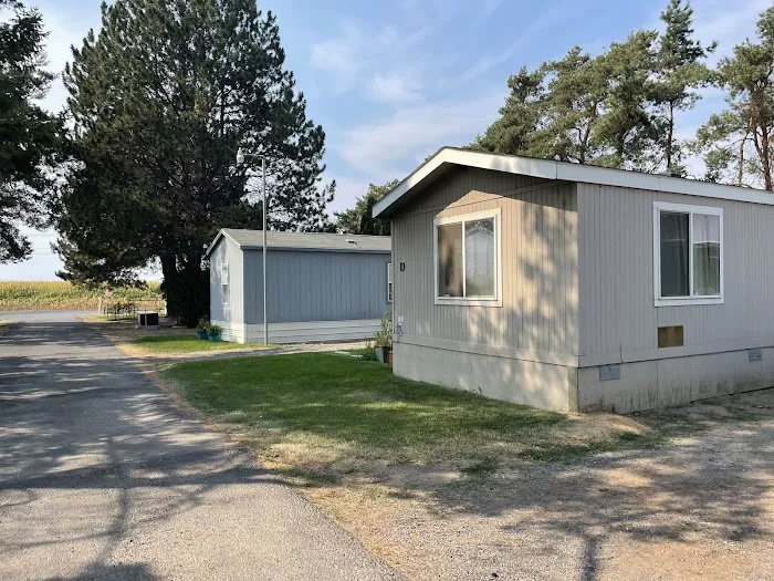 Willows Trailer Village Picture 5