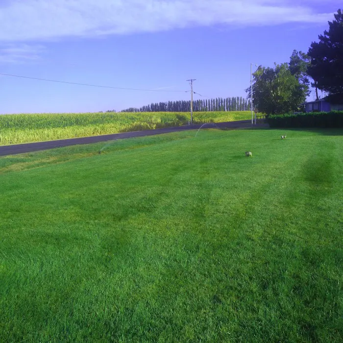 Willows Trailer Village Picture 7