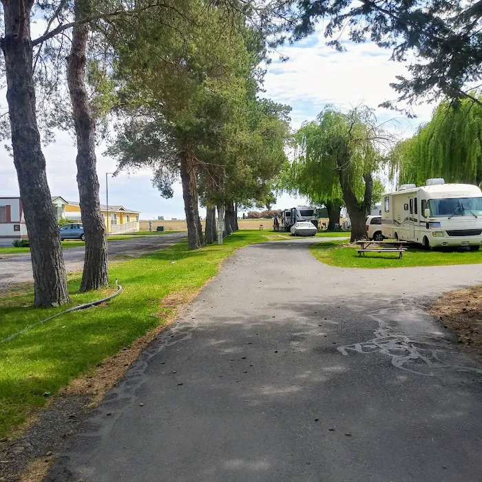 Willows Trailer Village Picture 10