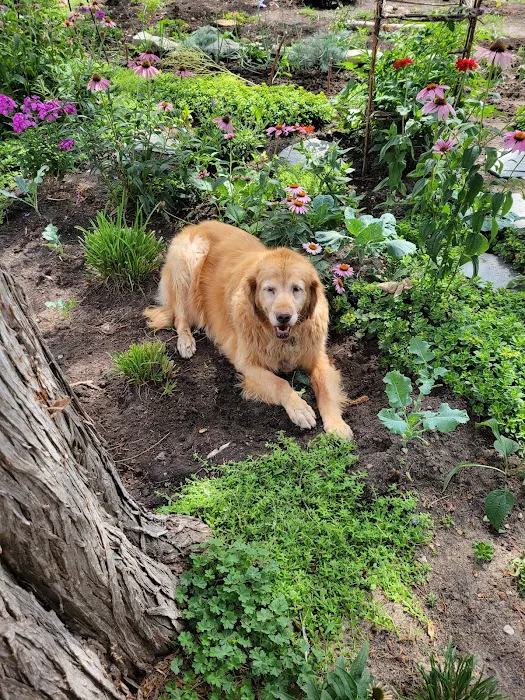 Hastings RV Park Picture 4