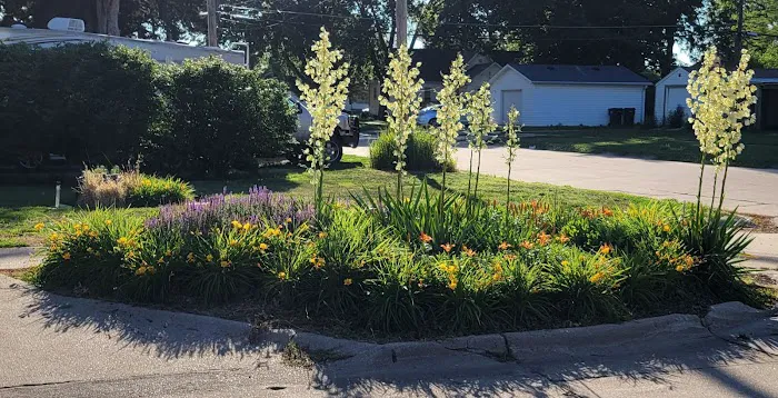 Hastings RV Park Picture 3