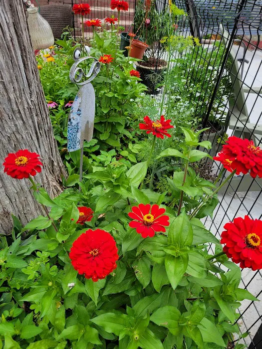 Hastings RV Park Picture 5