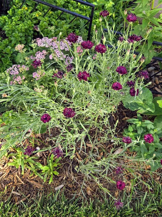 Hastings RV Park Picture 8