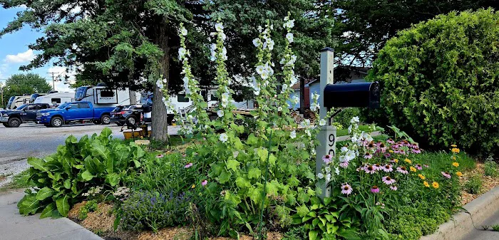 Hastings RV Park Picture 9