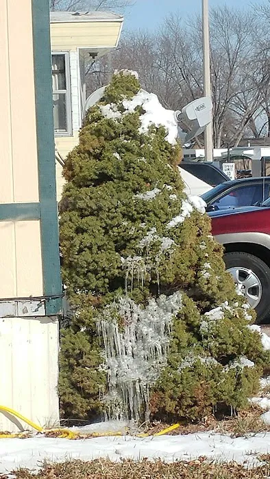 Kingswood Estates Picture 3