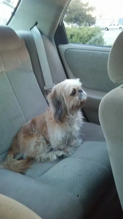 Kingswood Estates Picture 5