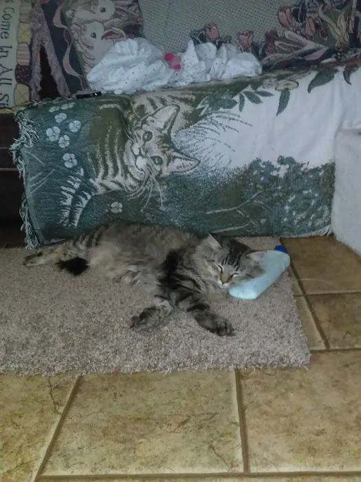 Kingswood Estates Picture 8