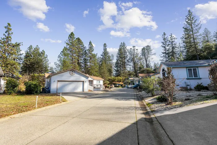 Shady Glen Estates Picture 5