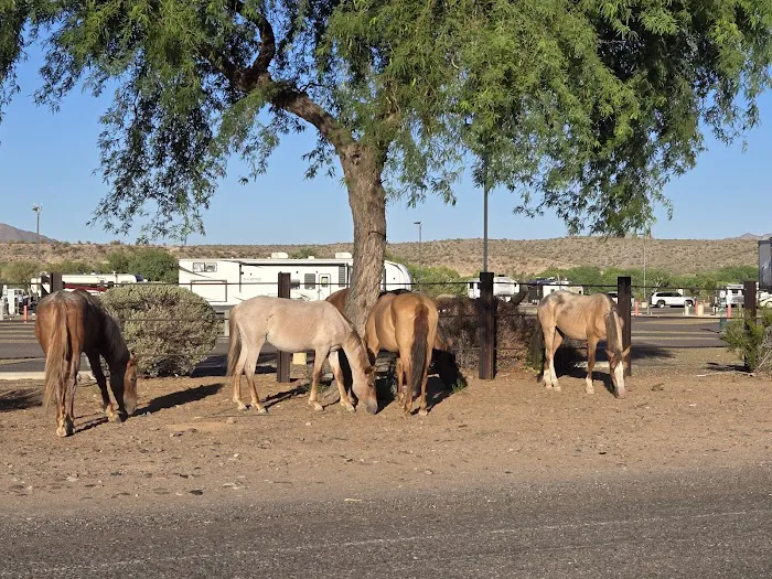 Eagle View RV Resort At Fort Picture 1