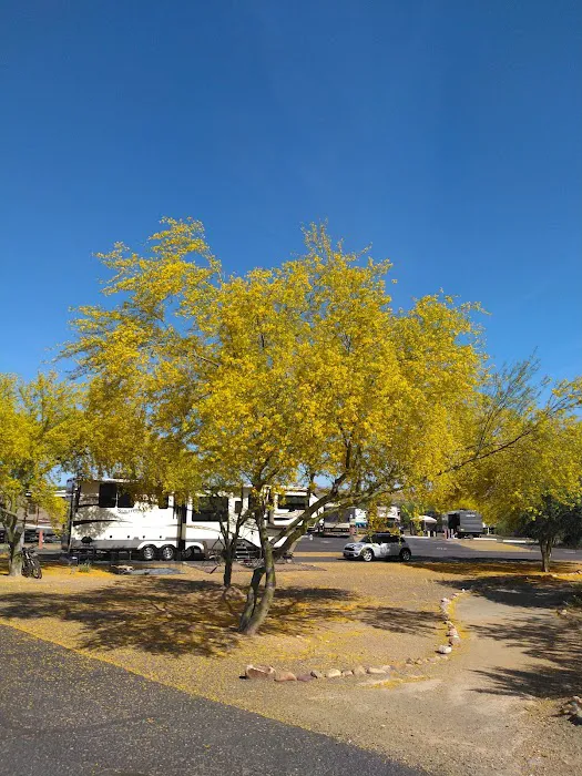 Eagle View RV Resort At Fort Picture 2