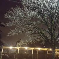 Fir Haven Trailer Park ico