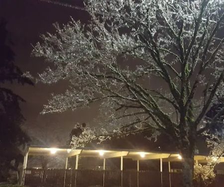 Fir Haven Trailer Park