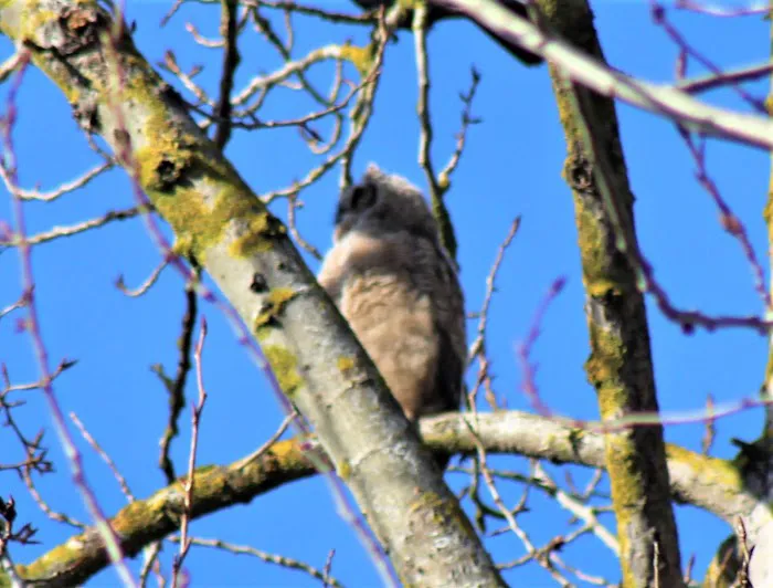 Rolling Hills Mobile Terrace & RV Park Picture 1