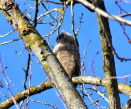 Rolling Hills Mobile Terrace & RV Park