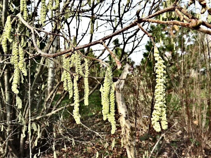 Sandy Mobile Villa Picture 2