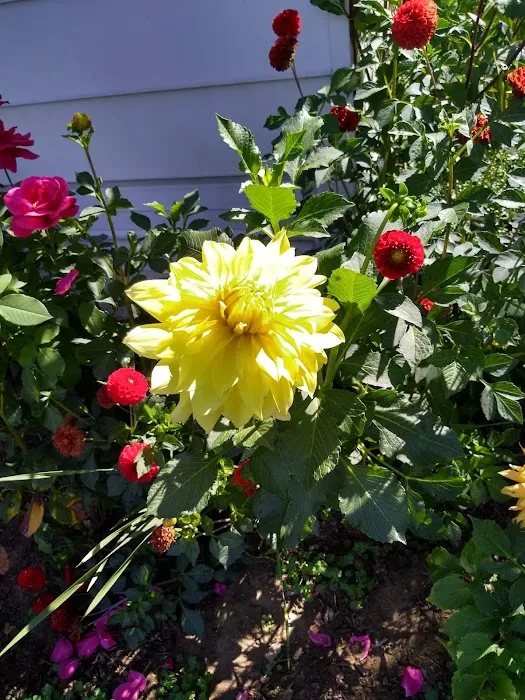 Sandy Mobile Villa Picture 4