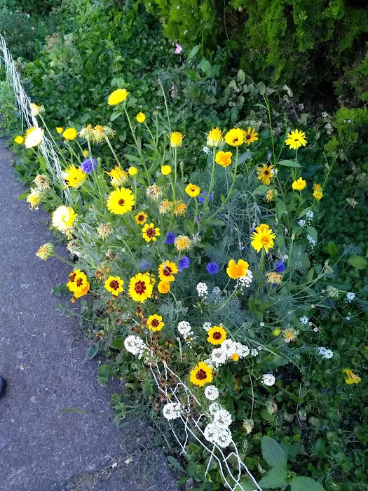 Sandy Mobile Villa Picture 5